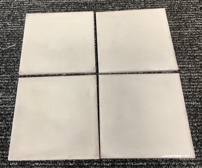 Splendours White 6x6 (Floor Tile)