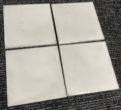 Splendours White 6x6 (Floor Tile)