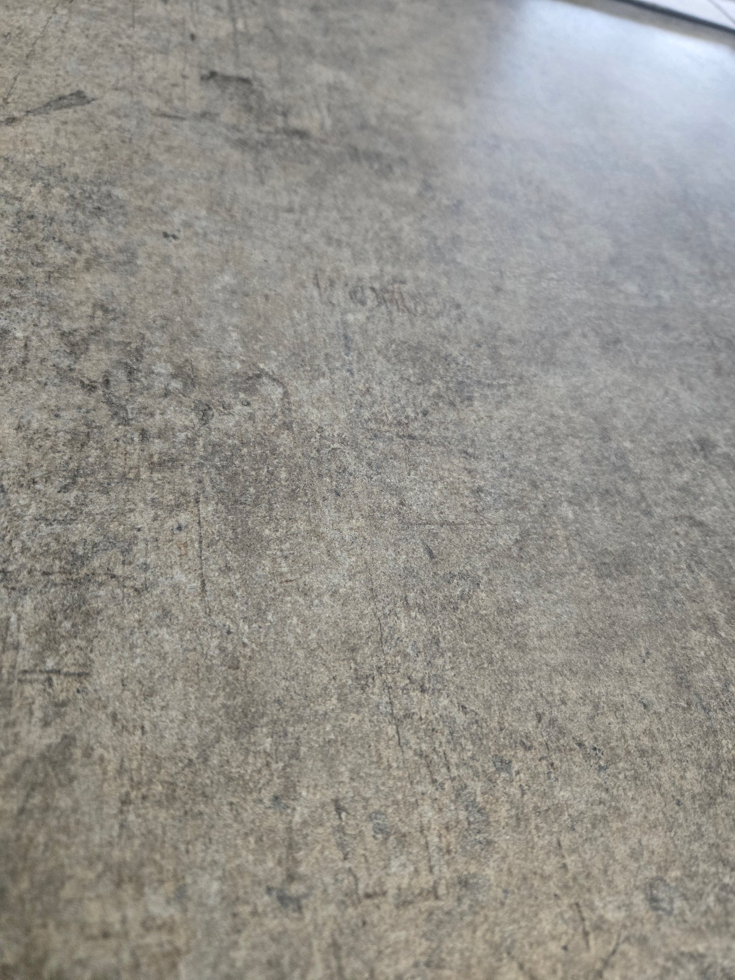 Rondine Murales Beige